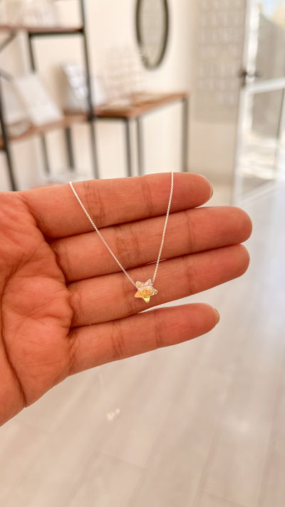 Conjunto Estrella Sw