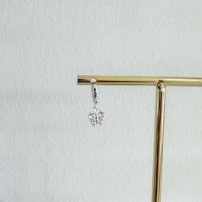 Argollita Mariposa (unidad)