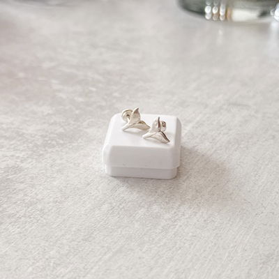 Abridor Colita de Ballena 