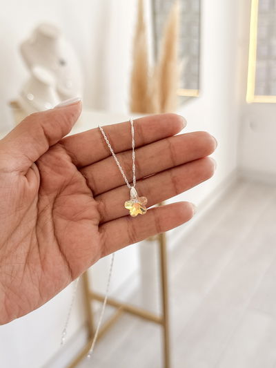 Conjunto Sw Florcita