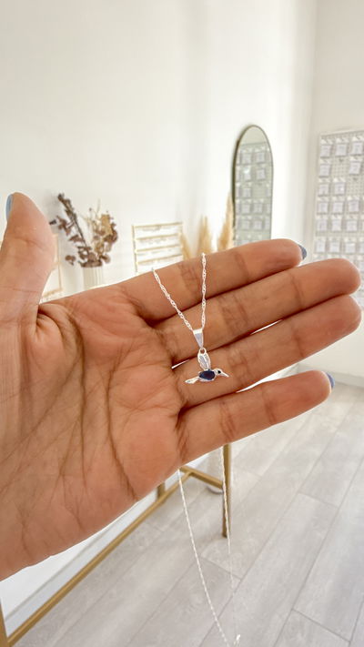 Conjunto Colibrí Azul