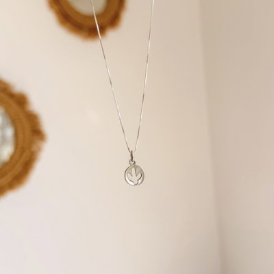 Conjunto Cactus