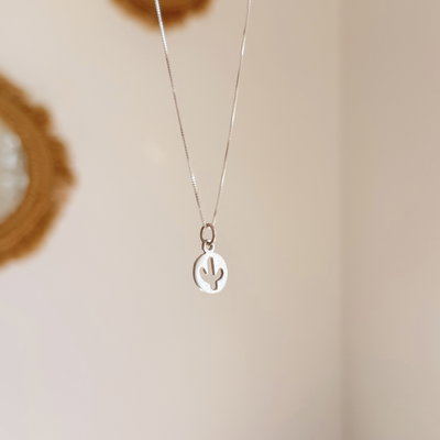 Conjunto Cactus