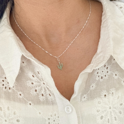 Conjunto cactus