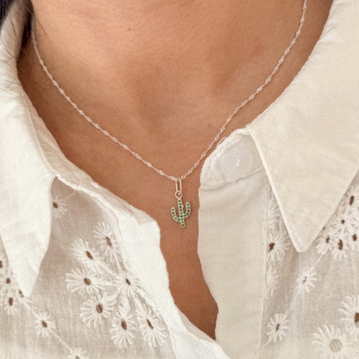 Conjunto cactus