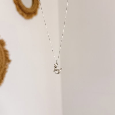 Conjunto de Gatito