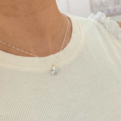 Conjunto Sw Gris