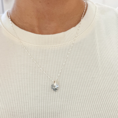 Conjunto Sw Gris