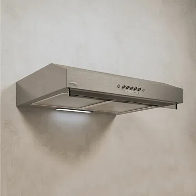 CAMPANA LLANOS ASPIRADORCLASSIC ACERO 24957