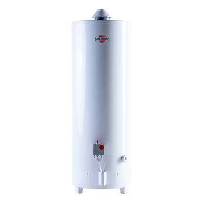 TERMOTANQUE SHERMAN 120LTS PIE MG TPGP120MSH