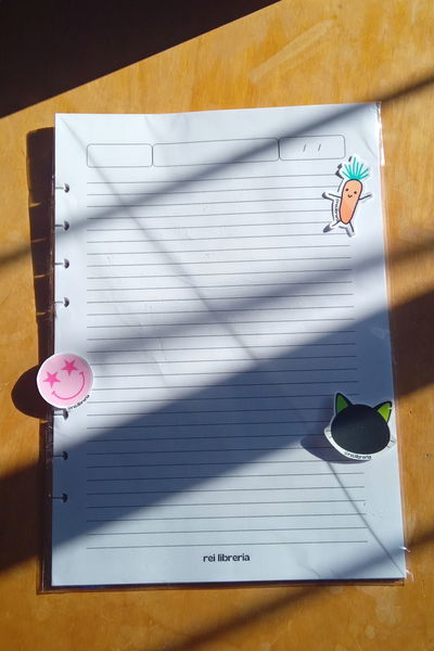 Repuesto hojas cuaderno inteligente a4