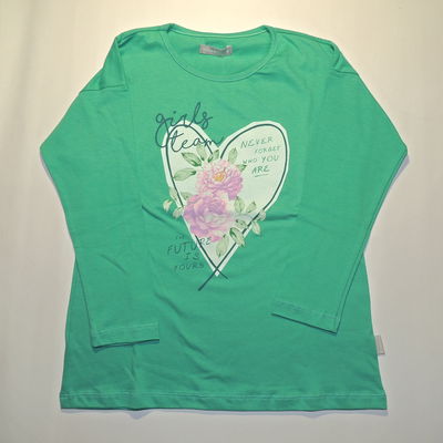 Remera jr team