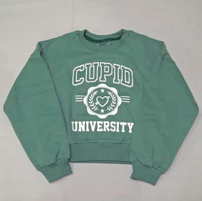 Buzo jr university