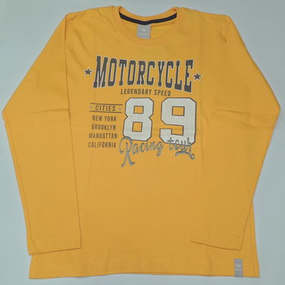 Remera jr motorcycle