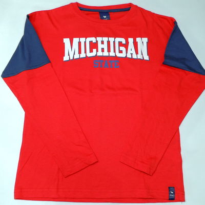 Remera jr michigan