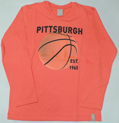 Remera jr basket