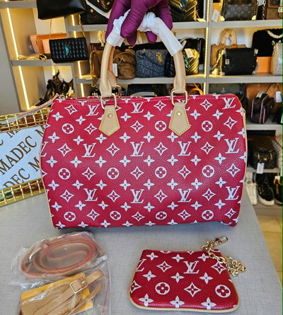Baúl Louis Vuitton Colorado 