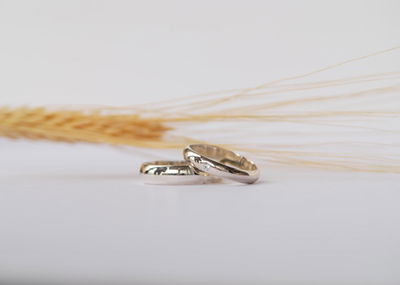 Alianzas Media Caña