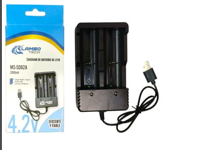 CARGADOR DE PILAS USB 2 PUERTOS 2000 MA 