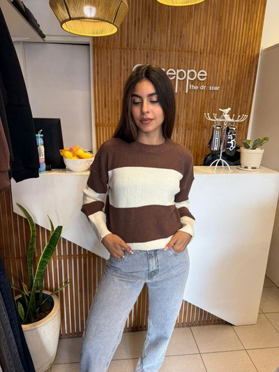 Sweater blanco y marron