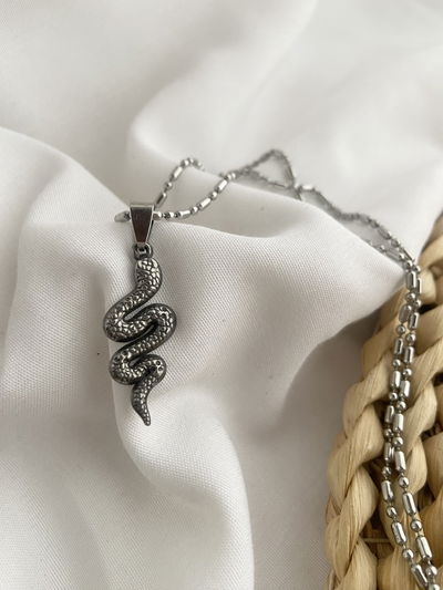 Collar snake