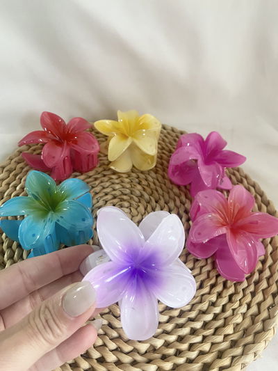  Broche para el pelo ( elegí color)