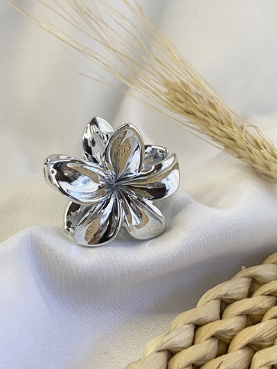 Broche plateado para el pelo