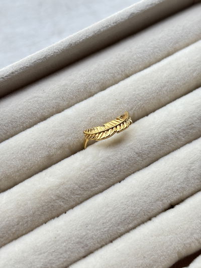 Anillo pluma