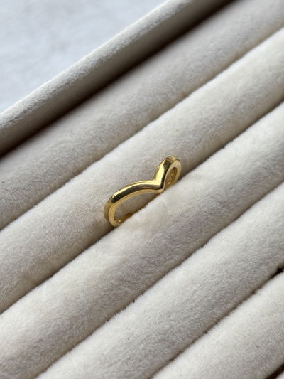 Anillo “v”
