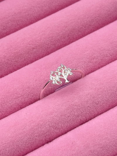 Anillo arbol