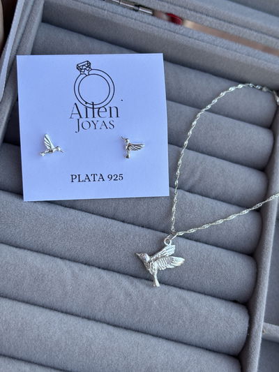 Conjunto colibrí 