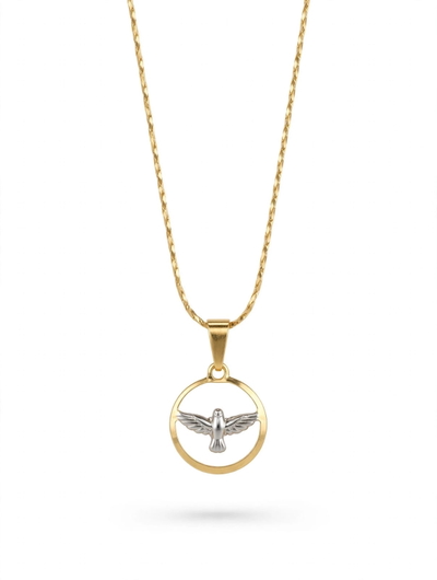 Cadena con dije Espíritu Santo combinado