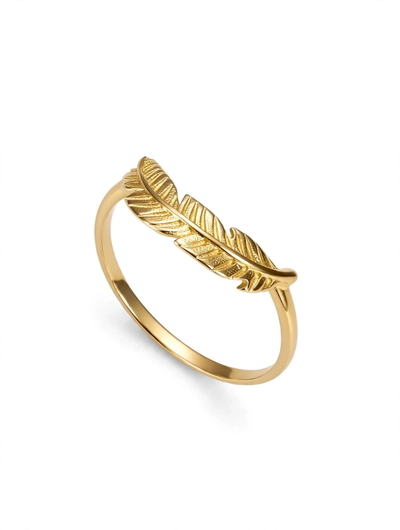 Anillo de oro pluma