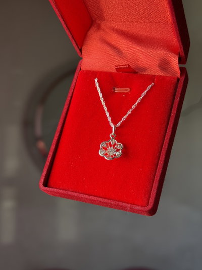 Conjunto de plata Florcita