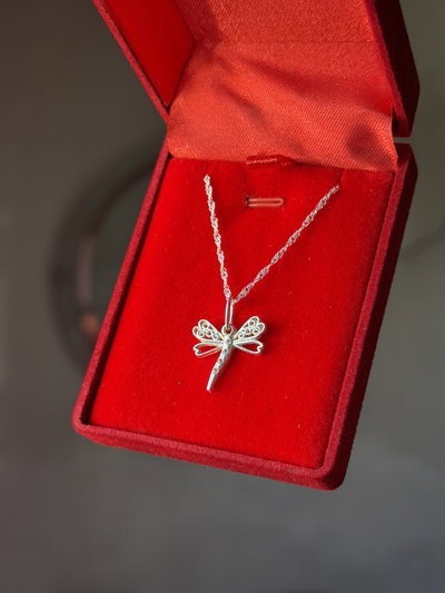 Conjunto de plata libélula