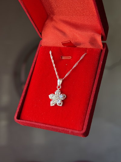 Conjunto de plata Flor 5 puntas cubics 