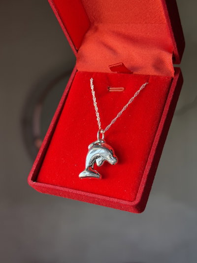 Conjunto de plata Delfin grande