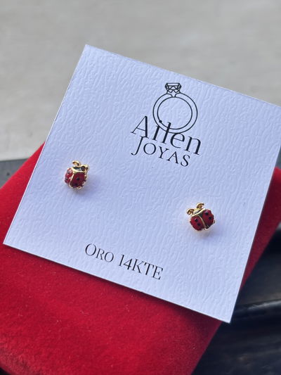 Aros mini vaquita de san antonio