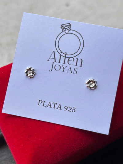 Aros florcita