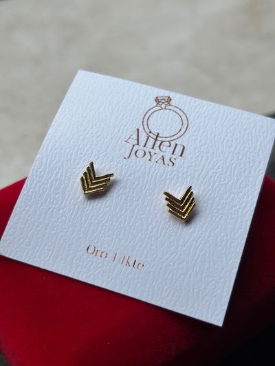 Aros flechas