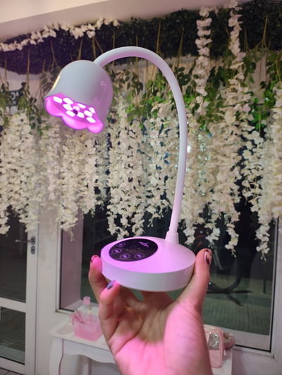 Cabina flor 2 PN