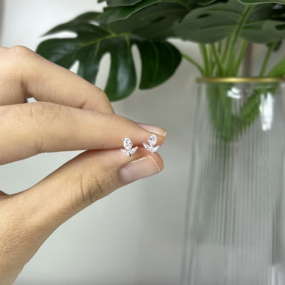 Aros Ali Plata 925