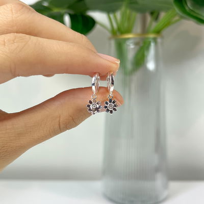 Argollas Noe 10mm Plata 925