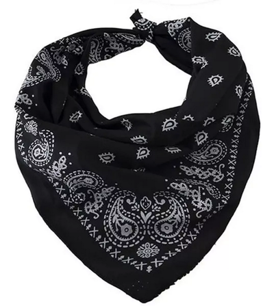 Pañuelos Bandanas