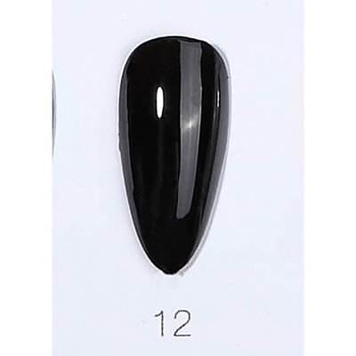 Navi Gel Paint Negro #12