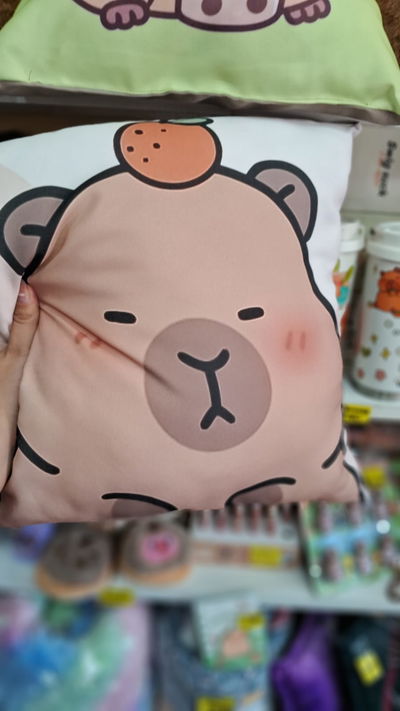 Almohadon Capibara con Frazadita