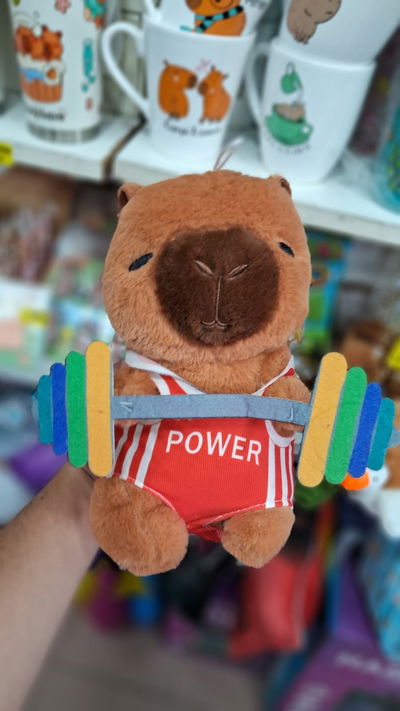 Capibara Gym