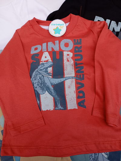 Camiseta Dino