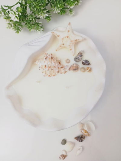 VELA OSTRA XL