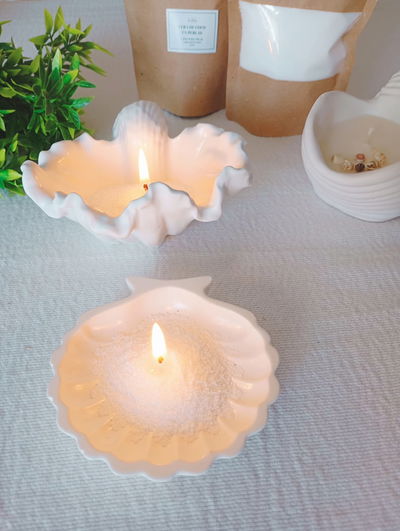 CERA EN PERLAS PARA VELAS 100GS